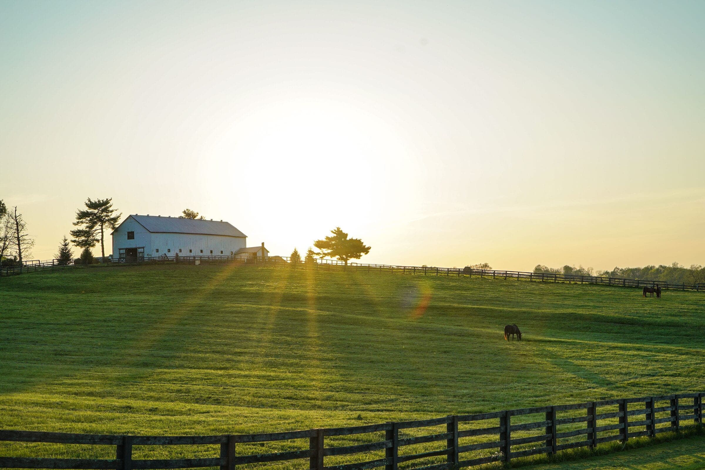 Ranch rail: black-stained multi-board ranch fence across a green pasture